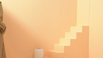 Trench Coat Feminino Alana Elegance